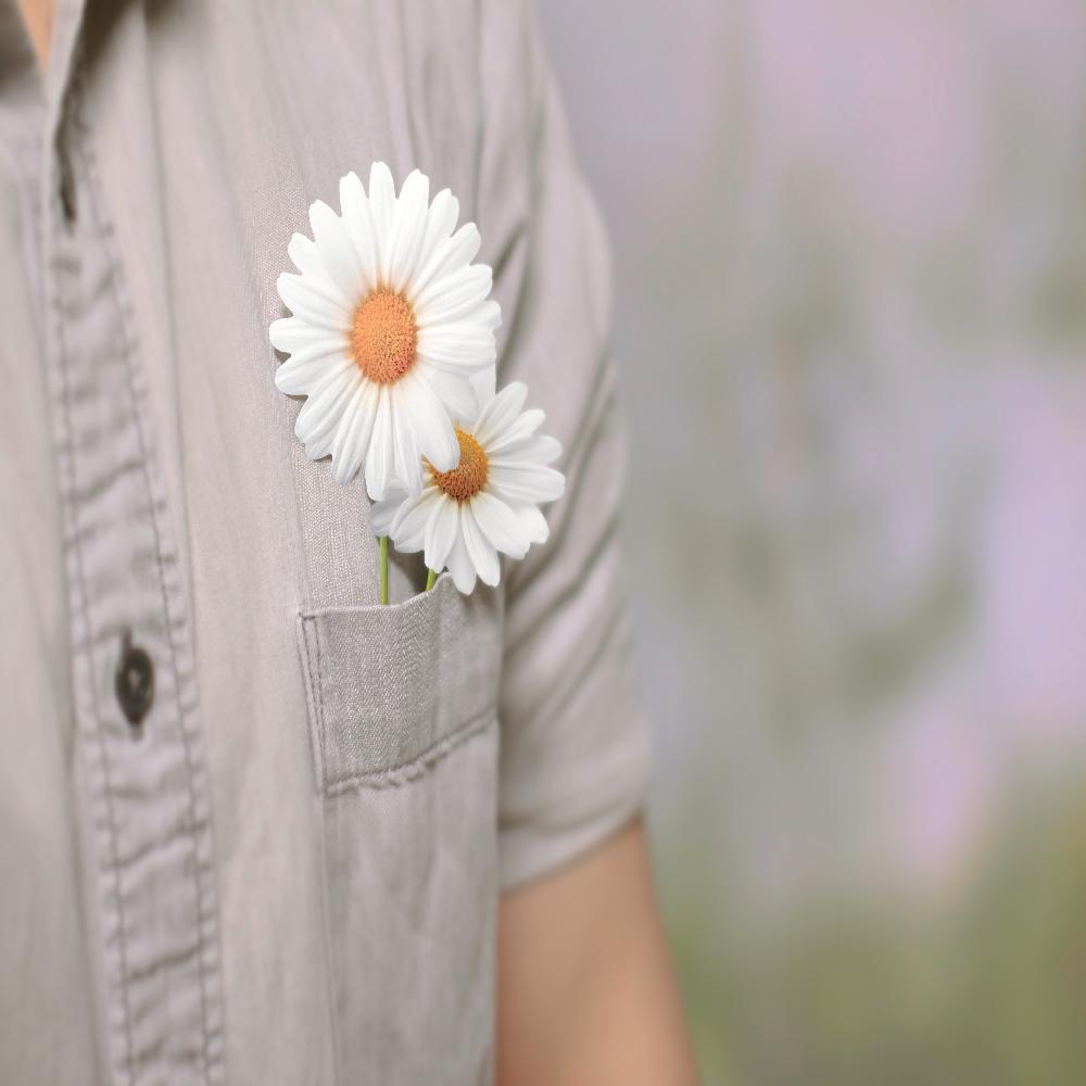 Sticky Leaf - Daisy
