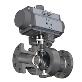 full image Inserted Seg-Ball Valve