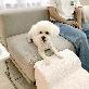 detail image5 Allmio Pet Dog Curved Stairs