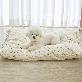 detail image2 MOONGMING Pet Cushion for Summer/All Seasons, Safe Material, Comfortable Cushion for Dogs Puppies Ca